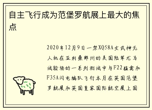 自主飞行成为范堡罗航展上最大的焦点